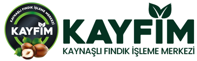 Kayfim